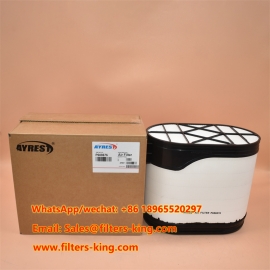 Luftfilter P604273