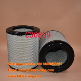C30899 Luftfilter