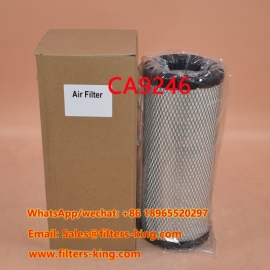 CA9246 Luftfilter