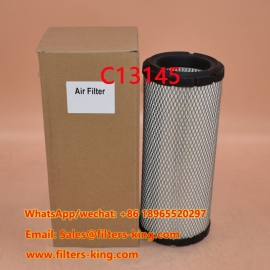 C13145 Luftfilter