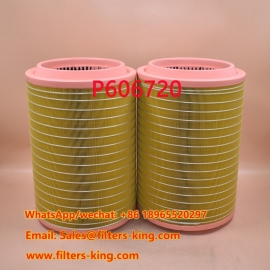 P606720 Luftfilter