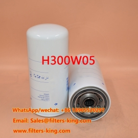 H300W05 Ölfilter