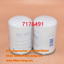7176491 Kraftstofffilter