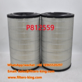 Luftfilter P812559
