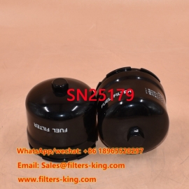 SN25179 Kraftstofffilter