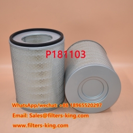 P181103 Luftfilter