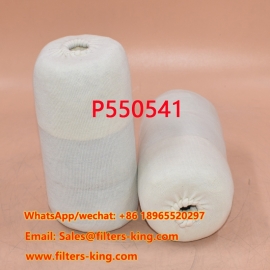 P550541 Kraftstofffilter