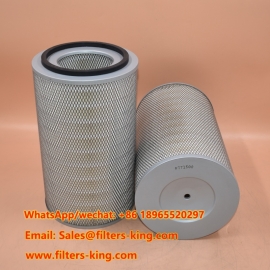 P771508 Luftfilter