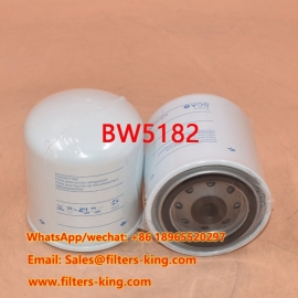 BW5182 Kühlmittelfilter