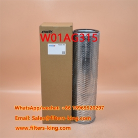 Hydraulikfilter W01AG315