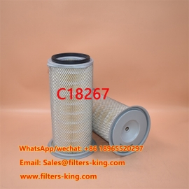 C18267 Luftfilter