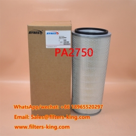 PA2750 Luftfilter