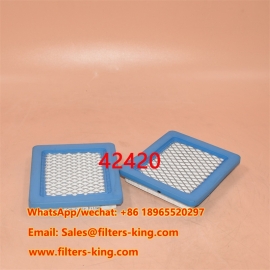 Luftfilter 42420