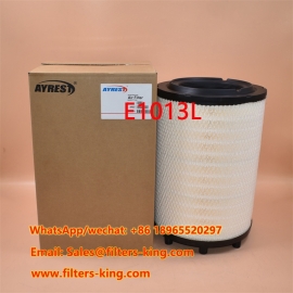 E1013L Luftfilter
