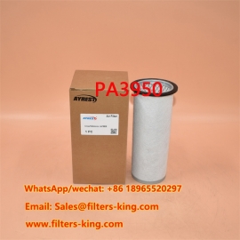 PA3950 Luftfilter