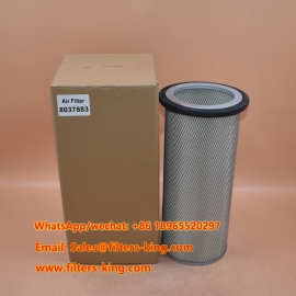 8037883 Luftfilter