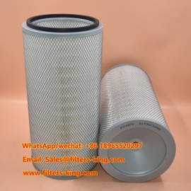 Luftfilter P115070