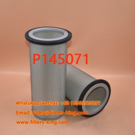 P145071 Luftfilter