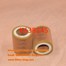 Luftfilter K63B245