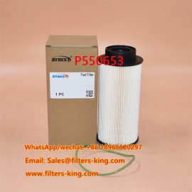 P550653 Kraftstofffilter