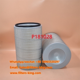 P181028 Luftfilter