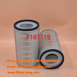 P181119 Luftfilter