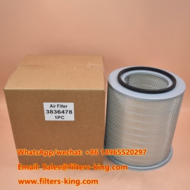 3836478 Luftfilter