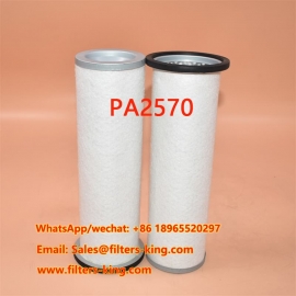 PA2570 Luftfilter
