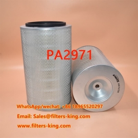 PA2971 Luftfilter