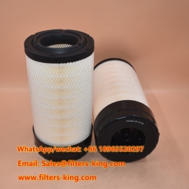 P785589 Luftfilter
