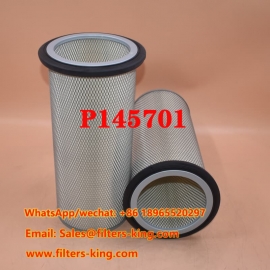 P145701 Luftfilter