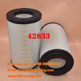 42833 Luftfilter