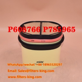 Luftfilter P608766 P785965