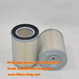 PA2536 Luftfilter