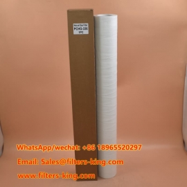 PCHG-336 Erdgasfilter