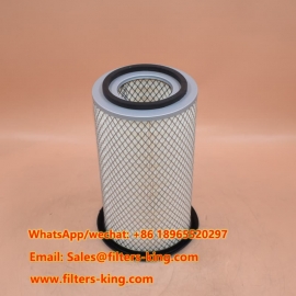 AF25302 Luftfilter