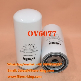 Öl-Luft-Abscheider OV6077