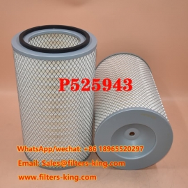 P525943 Luftfilter