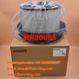 Luftfilter RS30065