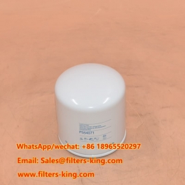 P554071 Kühlmittelfilter