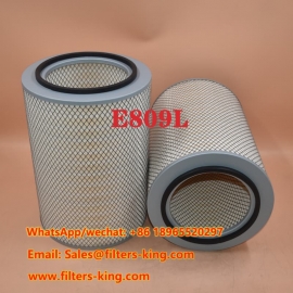 Luftfilter E809L