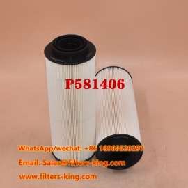 P581406 Kraftstofffilter