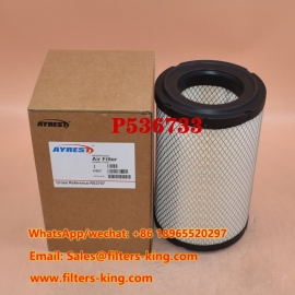 Luftfilter P536733