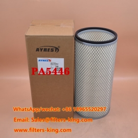 Luftfilter PA5446
