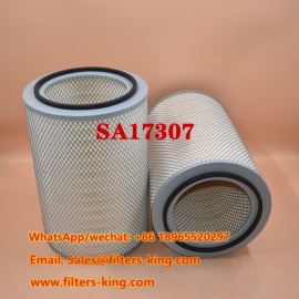 Luftfilter SA17307