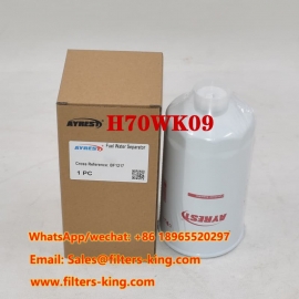 Kraftstoff-Wasserabscheider H70WK09