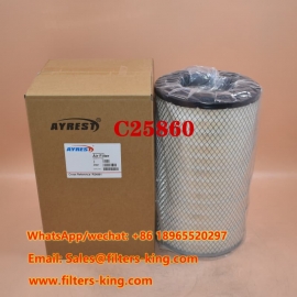 Luftfilter C25860