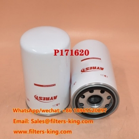 P171620 Hydraulikfilter