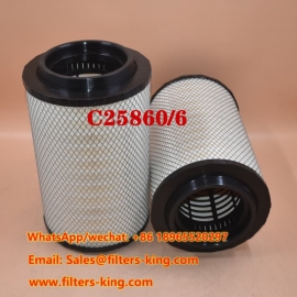 Luftfilter C25860/6
