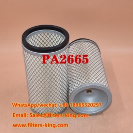Luftfilter PA2665